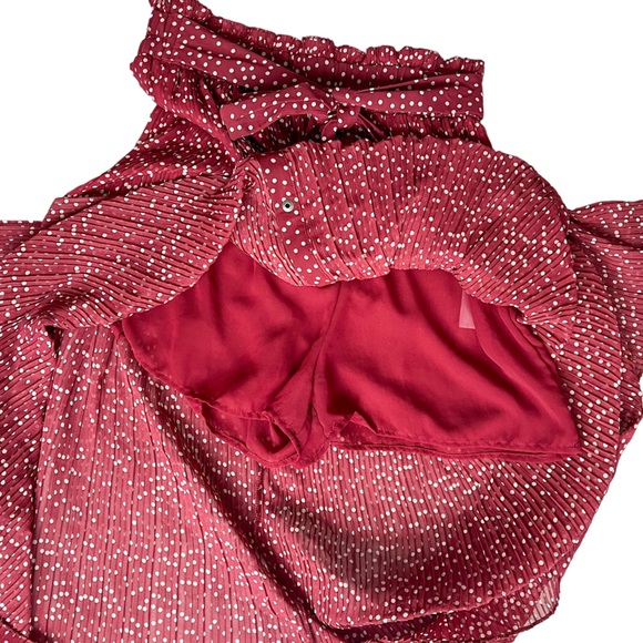 Zara Maxi Skirt Pleated Burgandy with White Polka Dots - Picture 5 of 6